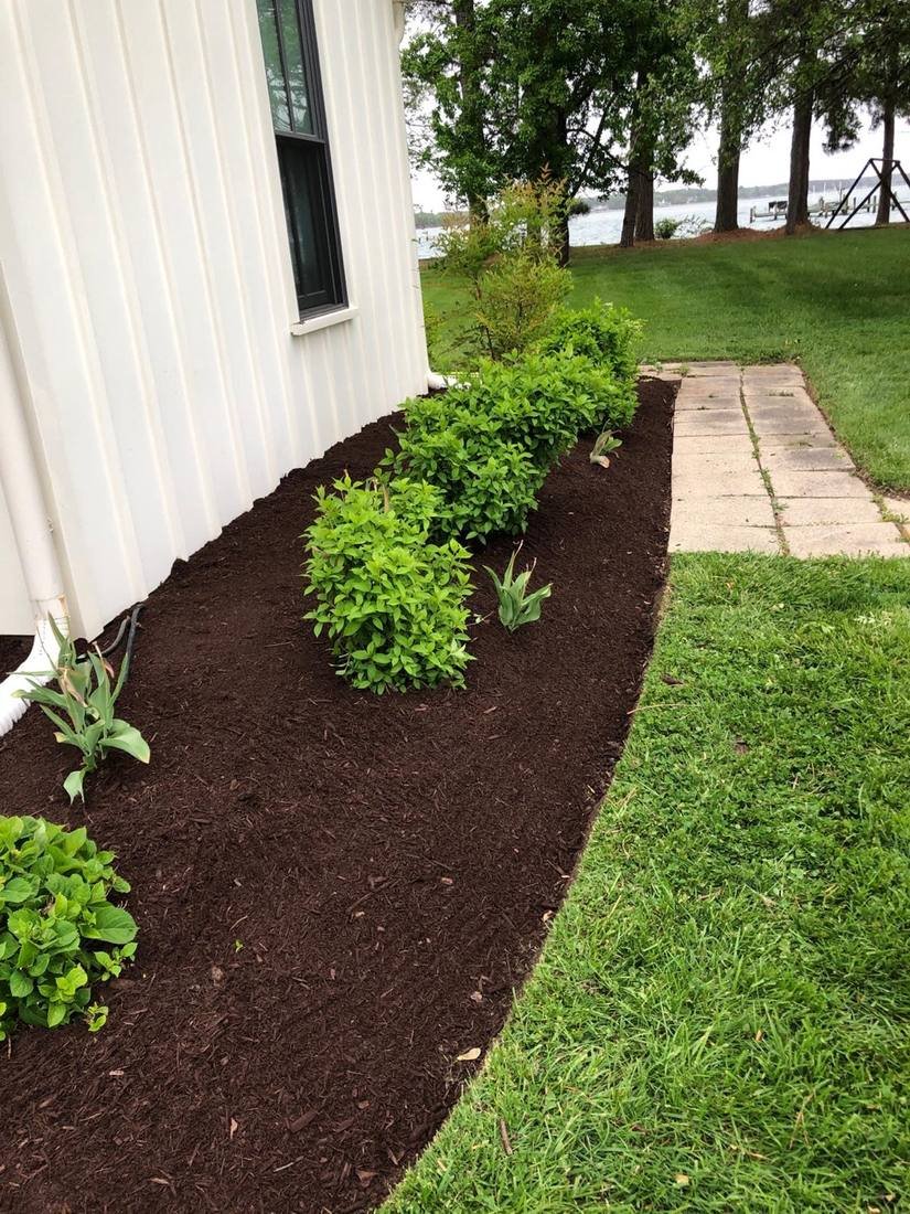 Fresh mulch bed with new shrubs — Easton MD