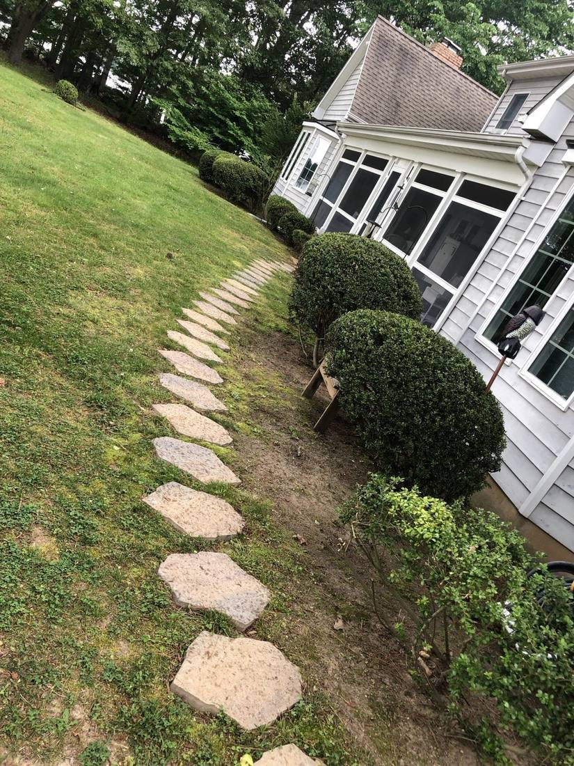Stepping stone walkway with trimmed boxwoods — Easton MD